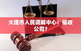 大理市人民调解中心：催收公司？