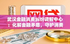 武汉金融消费纠纷调解中心：化解金融矛盾，守护消费权益