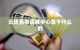 云民商事调解中心是干什么的
