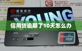 信用贷逾期了10天怎么办