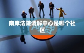 南岸法院调解中心是哪个社区