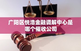 广阳区悦浩金融调解中心是哪个催收公司