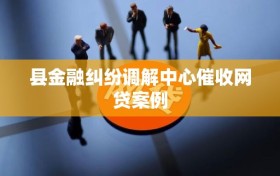 县金融纠纷调解中心催收网贷案例