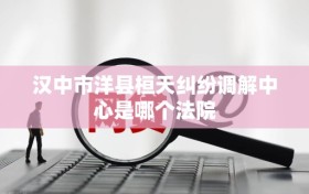 汉中市洋县桓天纠纷调解中心是哪个法院