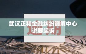 武汉正和金融纠纷调解中心说要起诉