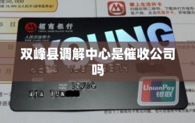 双峰县调解中心是催收公司吗