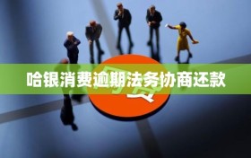 哈银消费逾期法务协商还款