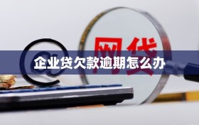 企业贷欠款逾期怎么办