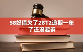 58好借欠了2812逾期一年了还没起诉