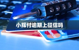 小辉付逾期上征信吗