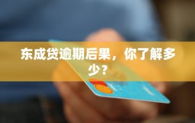 东成贷逾期后果，你了解多少？