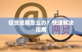 信贷逾期怎么办？快速解决指南