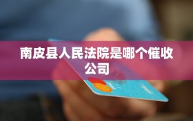 南皮县人民法院是哪个催收公司