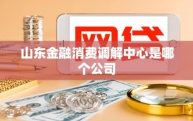 山东金融消费调解中心是哪个公司
