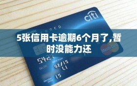 5张信用卡逾期6个月了,暂时没能力还