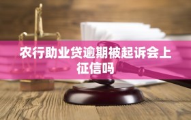农行助业贷逾期被起诉会上征信吗