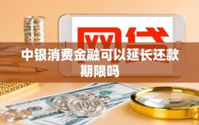 中银消费金融可以延长还款期限吗
