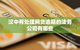 汉中有处理网贷逾期的法务公司有哪些