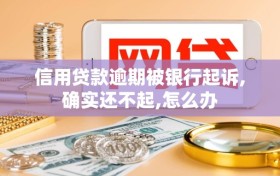 信用贷款逾期被银行起诉,确实还不起,怎么办