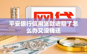 平安银行信用贷款逾期了怎么办又没钱还