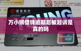 万小狮借钱逾期后被起诉是真的吗