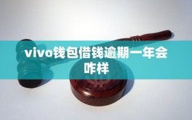 vivo钱包借钱逾期一年会咋样