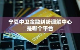 宁夏中卫金融纠纷调解中心是哪个平台