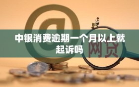 中银消费逾期一个月以上就起诉吗