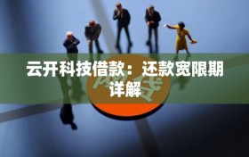 云开科技借款：还款宽限期详解