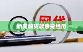 新向融贷款亲身经历