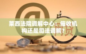 莱西法院调解中心：催收机构还是司法调解？