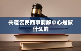 共道云民商事调解中心是做什么的