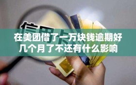 在美团借了一万块钱逾期好几个月了不还有什么影响