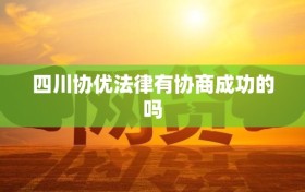 四川协优法律有协商成功的吗