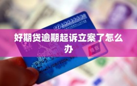 好期贷逾期起诉立案了怎么办