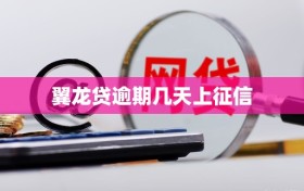 翼龙贷逾期几天上征信
