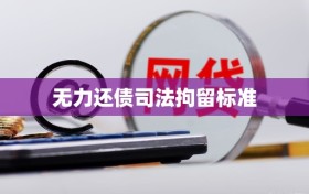 无力还债司法拘留标准