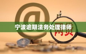 宁波逾期法务处理律师