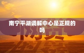 南宁平湖调解中心是正规的吗