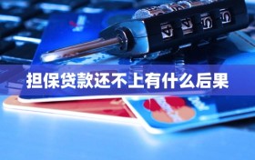 担保贷款还不上有什么后果
