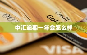 中汇逾期一年会怎么样