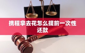 携程拿去花怎么提前一次性还款