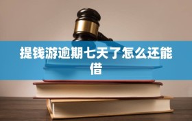 提钱游逾期七天了怎么还能借