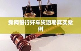 新网银行好车贷逾期真实案例