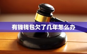 有钱钱包欠了几年怎么办