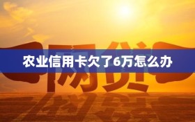农业信用卡欠了6万怎么办