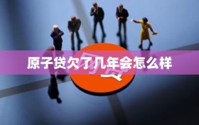 原子贷欠了几年会怎么样