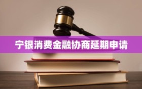 宁银消费金融协商延期申请