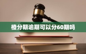橙分期逾期可以分60期吗