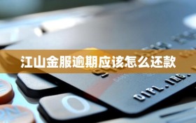 江山金服逾期应该怎么还款